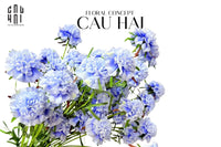 Set 2 Cành Hoa Đông Trùng Hạ Thảo - Sky Blue-Hoa Lụa-CẬU HAI HOME DECOR