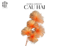 set-2-canh-hoa-firework-color-pop-cau-hai-home-decor-9 - CẬU HAI HOME DECOR