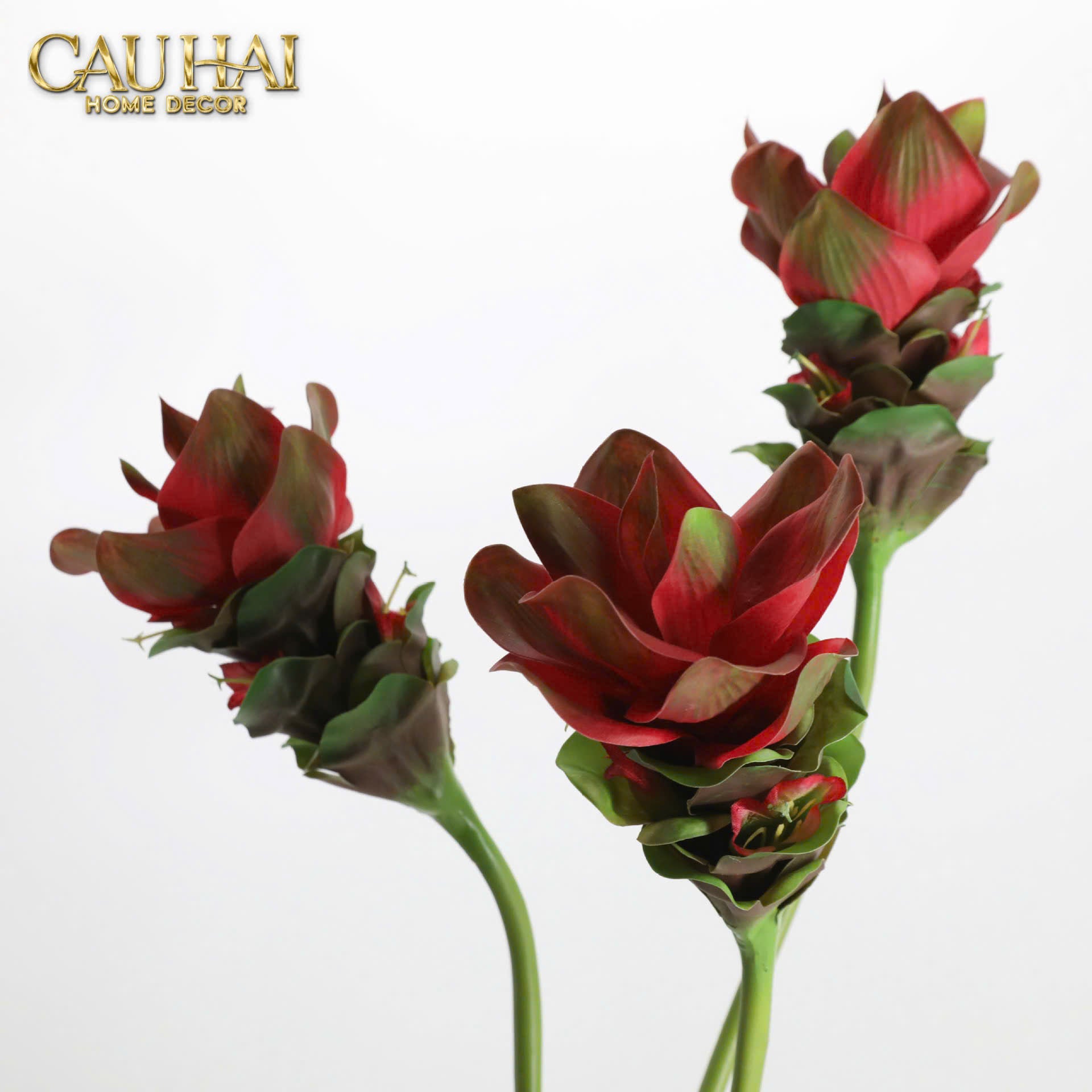 Set 2 Cành Hoa Gừng Crimson Torch Ginger Bloom - CẬU HAI HOME DECOR