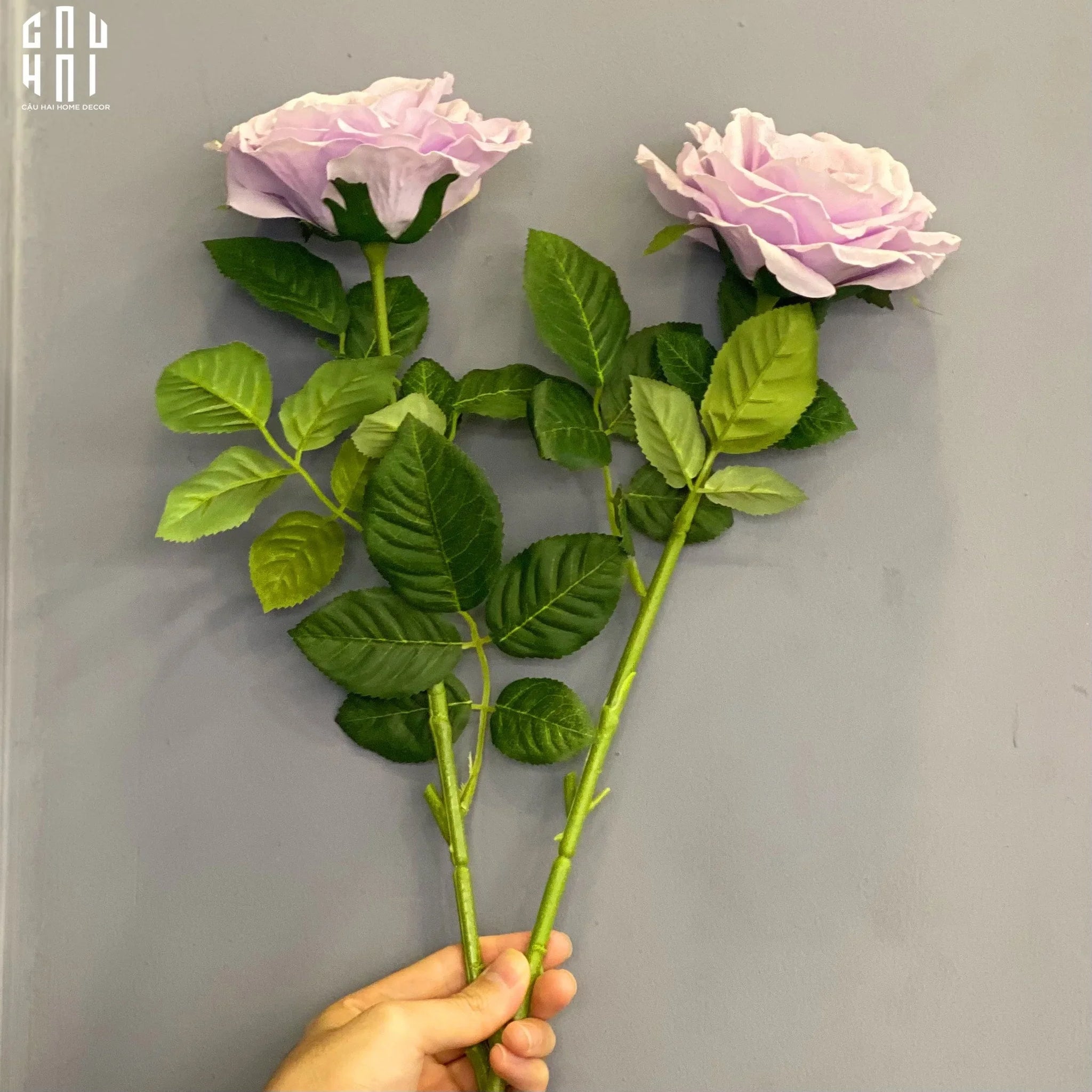 Set 2 Cành Hoa Hồng Ecuador - Tím Nhạt-CẬU HAI HOME DECOR