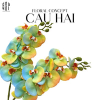 Set 2 Cành Hoa Lan Hồ Điệp - Citrus Turquoise-CẬU HAI HOME DECOR