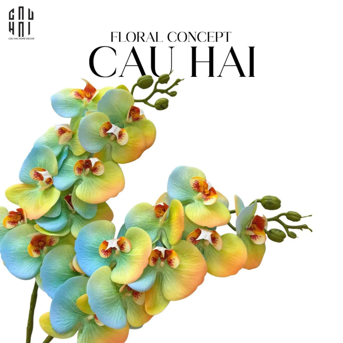 Set 2 Cành Hoa Lan Hồ Điệp - Citrus Turquoise-Hoa Lụa-Đối tác tại Trung Quốc theo từng đơn đặt hàng-CẬU HAI HOME DECOR