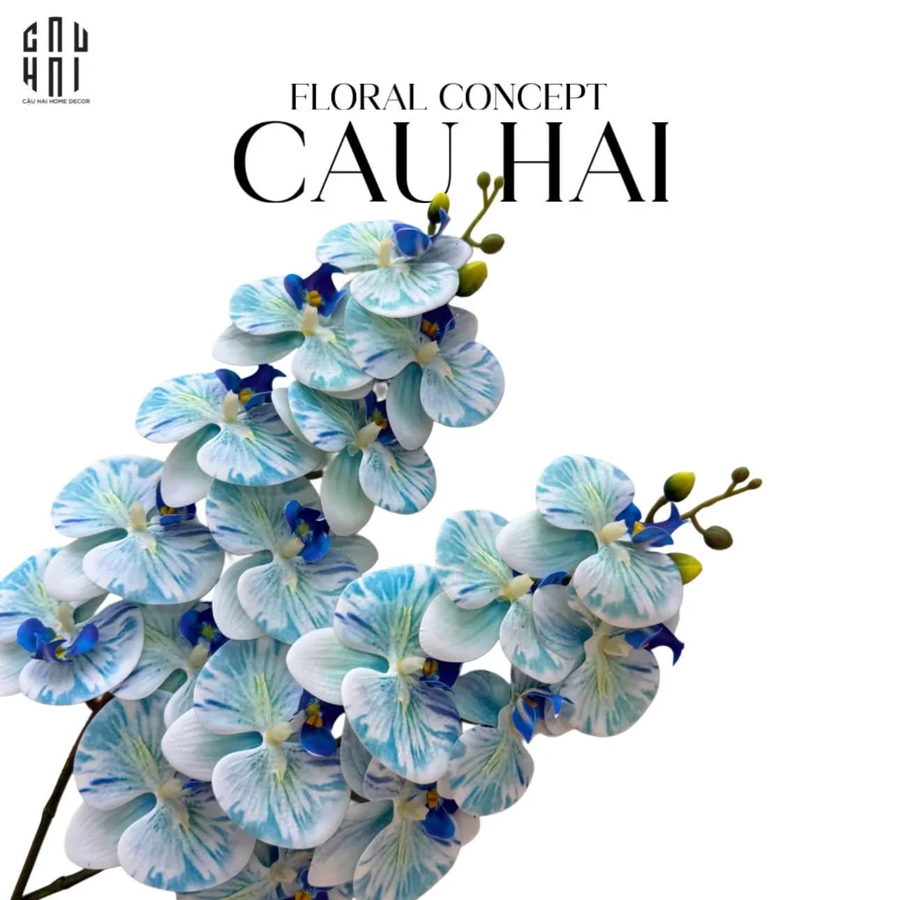 SET 2 CÀNH HOA LAN HỒ ĐIỆP - WHITE SKY BLUE