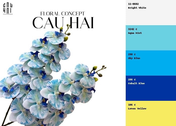 SET 2 CÀNH HOA LAN HỒ ĐIỆP - COOL WHITE BLUE AQUA-2- Cậu Hai Home Decor