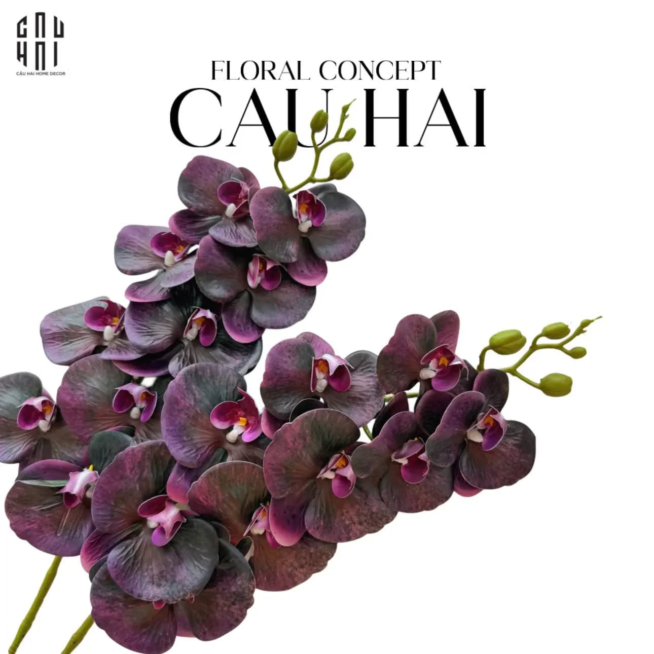Set 2 Cành Hoa Lan Hồ Điệp - Dark Violet-CẬU HAI HOME DECOR