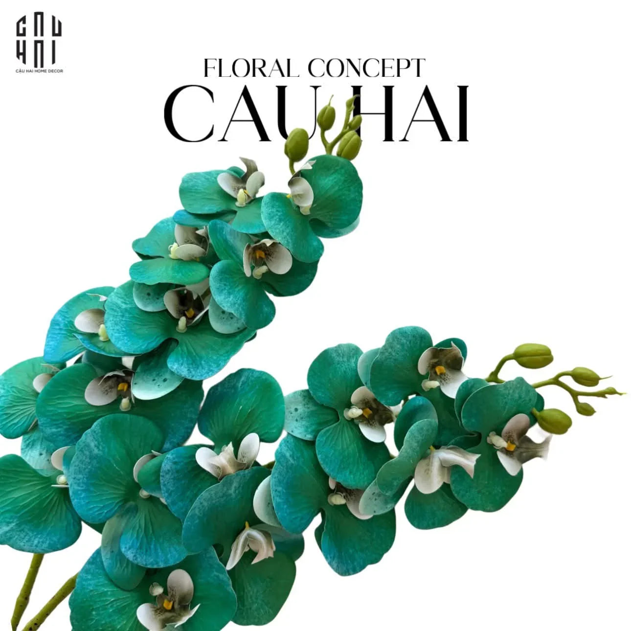 SET 2 CÀNH HOA LAN HỒ ĐIỆP - COBALT