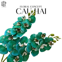 Set 2 Cành Hoa Lan Hồ Điệp - Emerald Greenish-Hoa Lụa-CẬU HAI HOME DECOR
