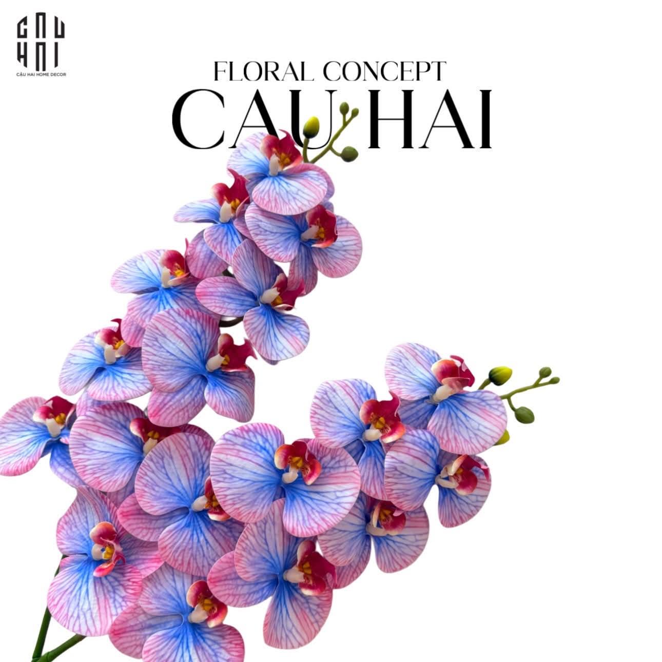 SET 2 CÀNH HOA LAN HỒ ĐIỆP - TWILIGHT