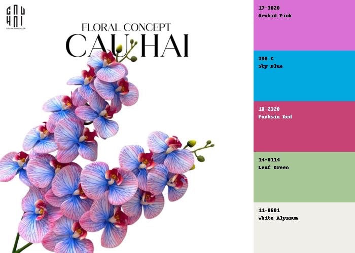 SET 2 CÀNH HOA LAN HỒ ĐIỆP - FUCHSIA AZURE-2- Cậu Hai Home Decor