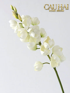 set-2-canh-hoa-lan-yucca-cau-hai-home-decor-16 - CẬU HAI HOME DECOR