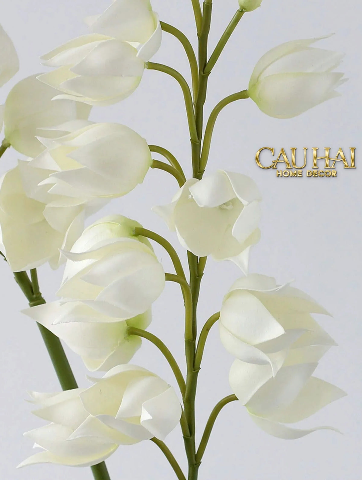 Set 2 Cành Hoa Lan Yucca-Hoa Lụa-CẬU HAI HOME DECOR