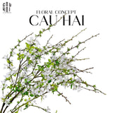 Set 2 Cành Hoa Mận - CẬU HAI HOME DECOR