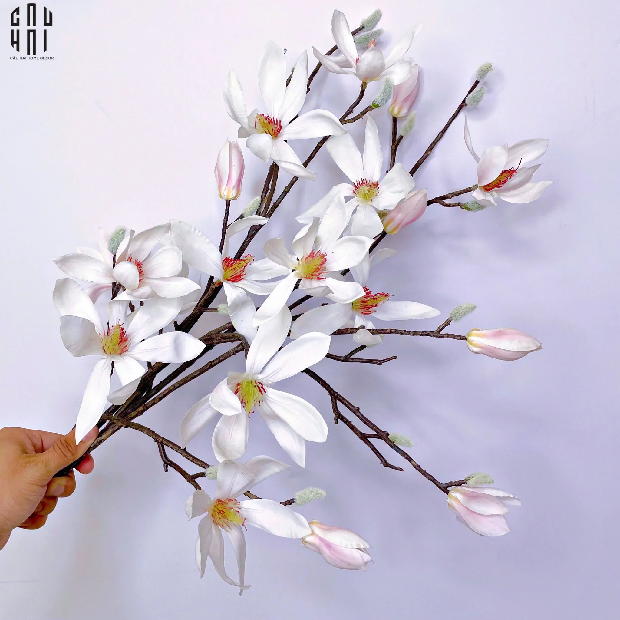 SET 2 CÀNH HOA MỘC LAN - MAGNOLIA