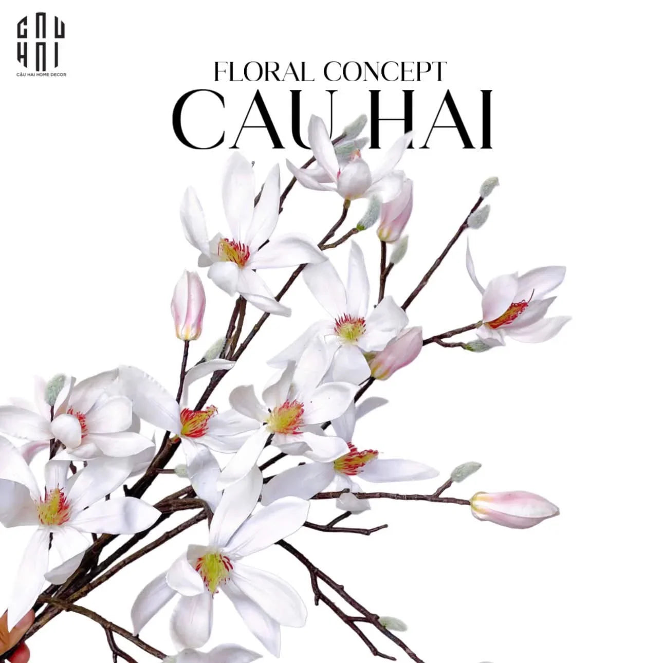 Set 2 Cành Hoa Mộc Lan - Magnolia Fraseri - CẬU HAI HOME DECOR