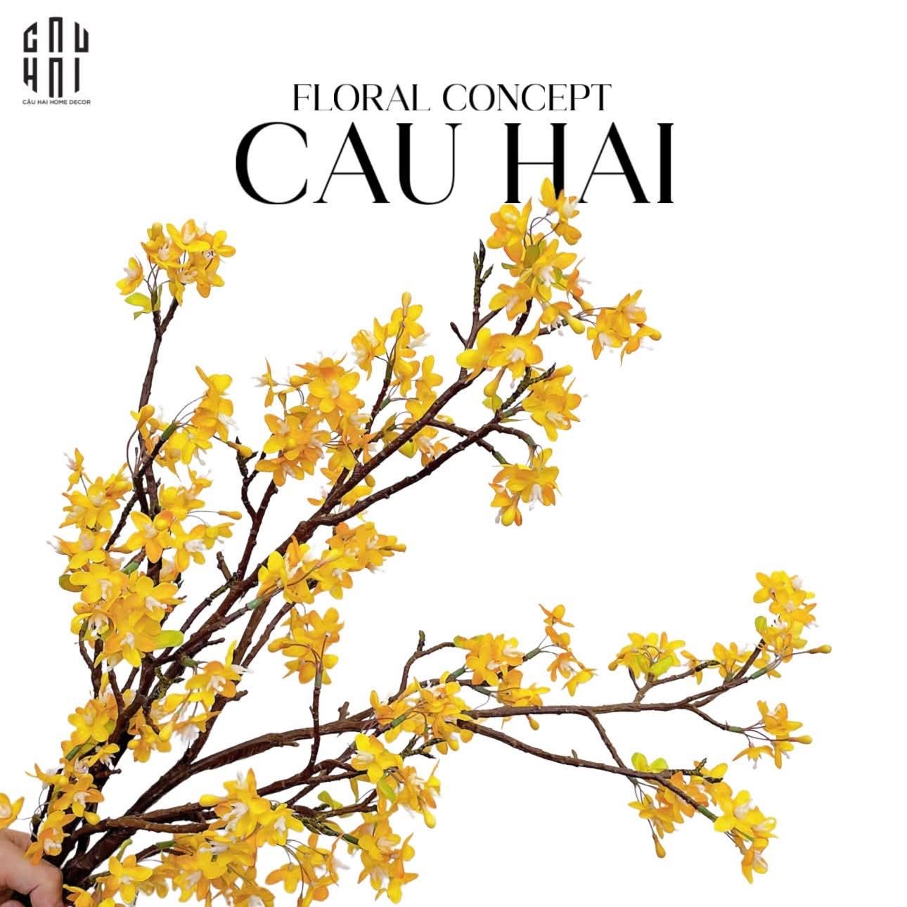 SET 2 CÀNH HOA NHÀI FORSYTHIA