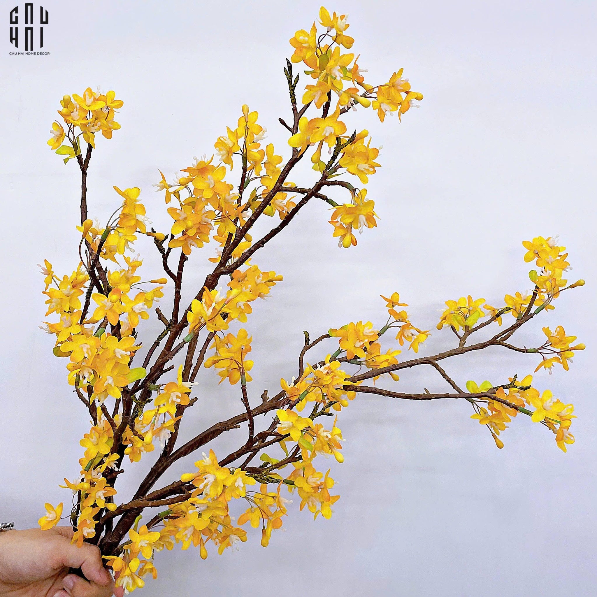 SET 2 CÀNH HOA NHÀI FORSYTHIA