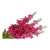 Set 2 Cành Hoa Phi Yến - Viva Magenta