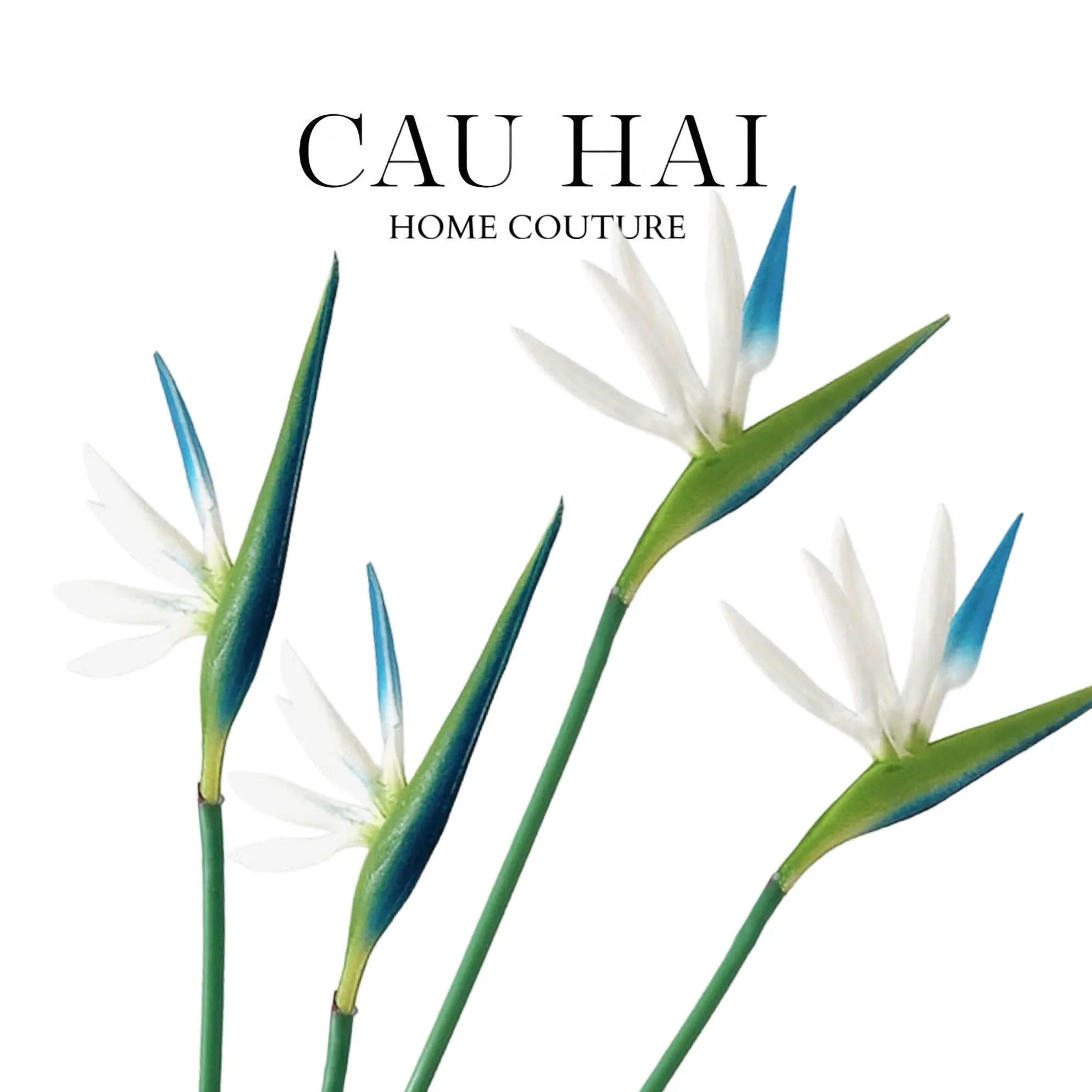 SET 2 CÀNH HOA THIÊN ĐIỂU - NEIGE BLEU (TUYẾT)