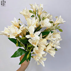 set-2-canh-hoa-thuy-tien-cau-hai-home-decor-3 - CẬU HAI HOME DECOR
