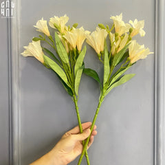 set-2-canh-hoa-thuy-tien-cau-hai-home-decor-4 - CẬU HAI HOME DECOR