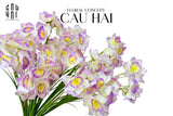 SET 2 CÀNH HOA THUỶ TIÊN - TRẮNG VIOLET
