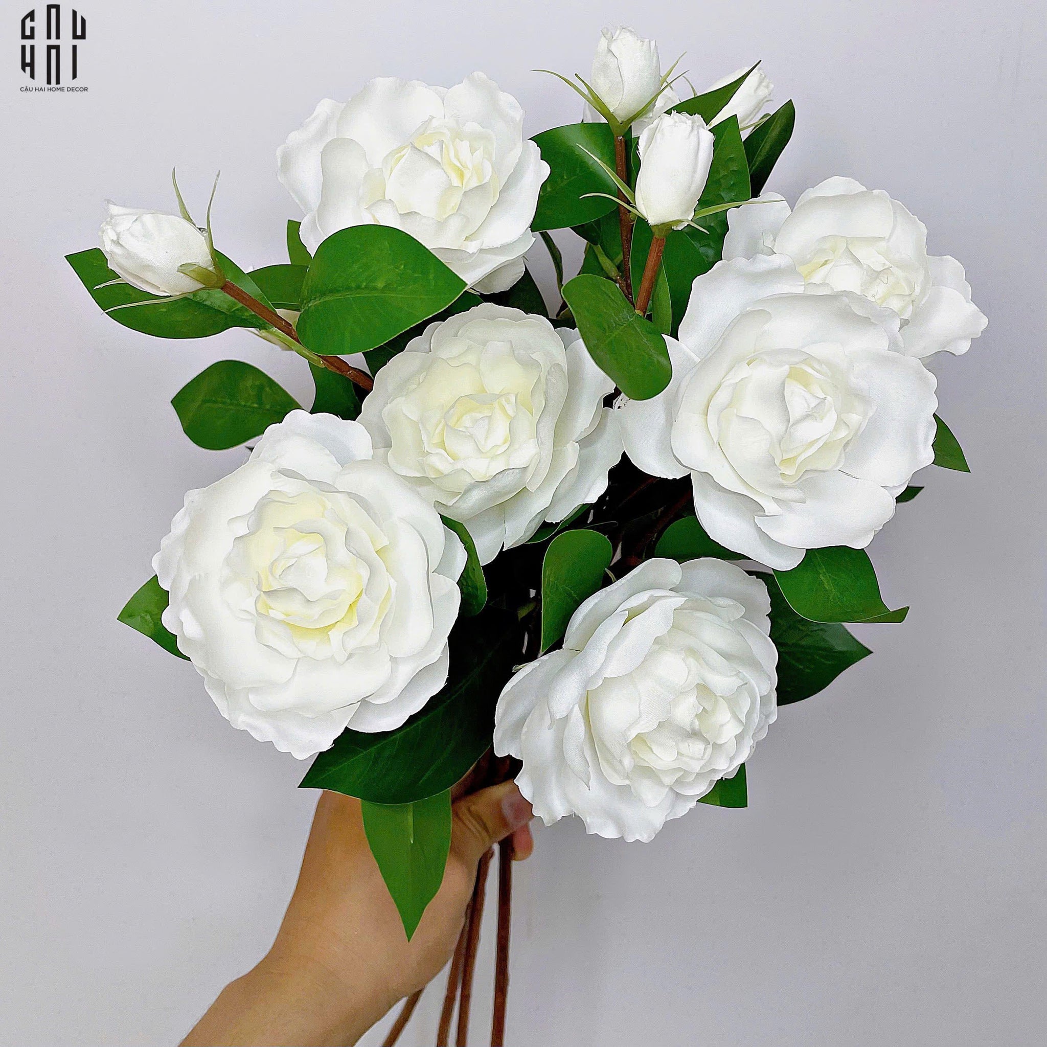 SET 2 CÀNH HOA TRÀ TRẮNG-CẬU HAI HOME DECOR