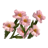 Set 2 Cành Hoa Tulip Blooming - Baby Pink