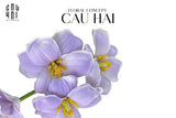 SET 2 CÀNH HOA TULIP BLOOMING LIGHT PURPLE-CẬU HAI HOME DECOR