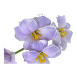Set 2 Cành Hoa Tulip Blooming Light Purple