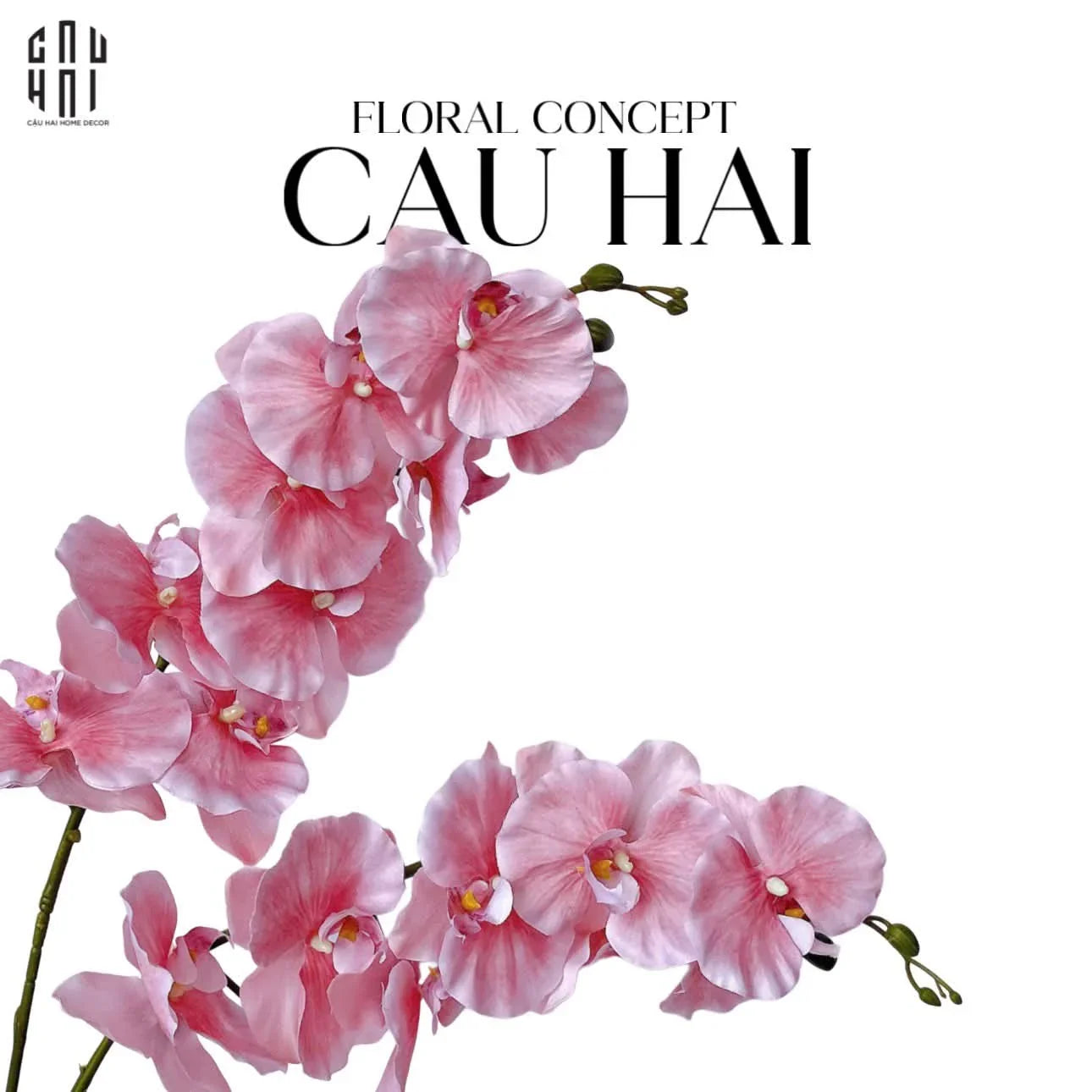 Set 2 Cành Lan Hồ Điệp Cánh Xoăn - Hồng - CẬU HAI HOME DECOR
