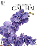 SET 2 CÀNH LAN HỒ ĐIỆP CÁNH XOĂN - XANH TÍM
