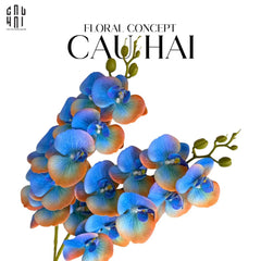 Set 2 Cành Lan Hồ Điệp - Royal Blue Mandarin-CẬU HAI HOME DECOR