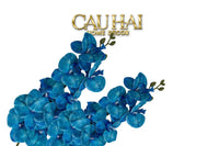 Set 2 Cành Lan Hồ Điệp Royal Phalaenopsis Orchid-Hoa Lụa-CẬU HAI HOME DECOR