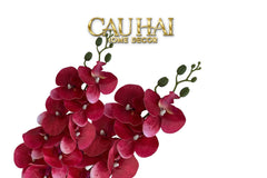 Set 2 Cành Lan Hồ Điệp Royal Phalaenopsis Orchid-Hoa Lụa-CẬU HAI HOME DECOR