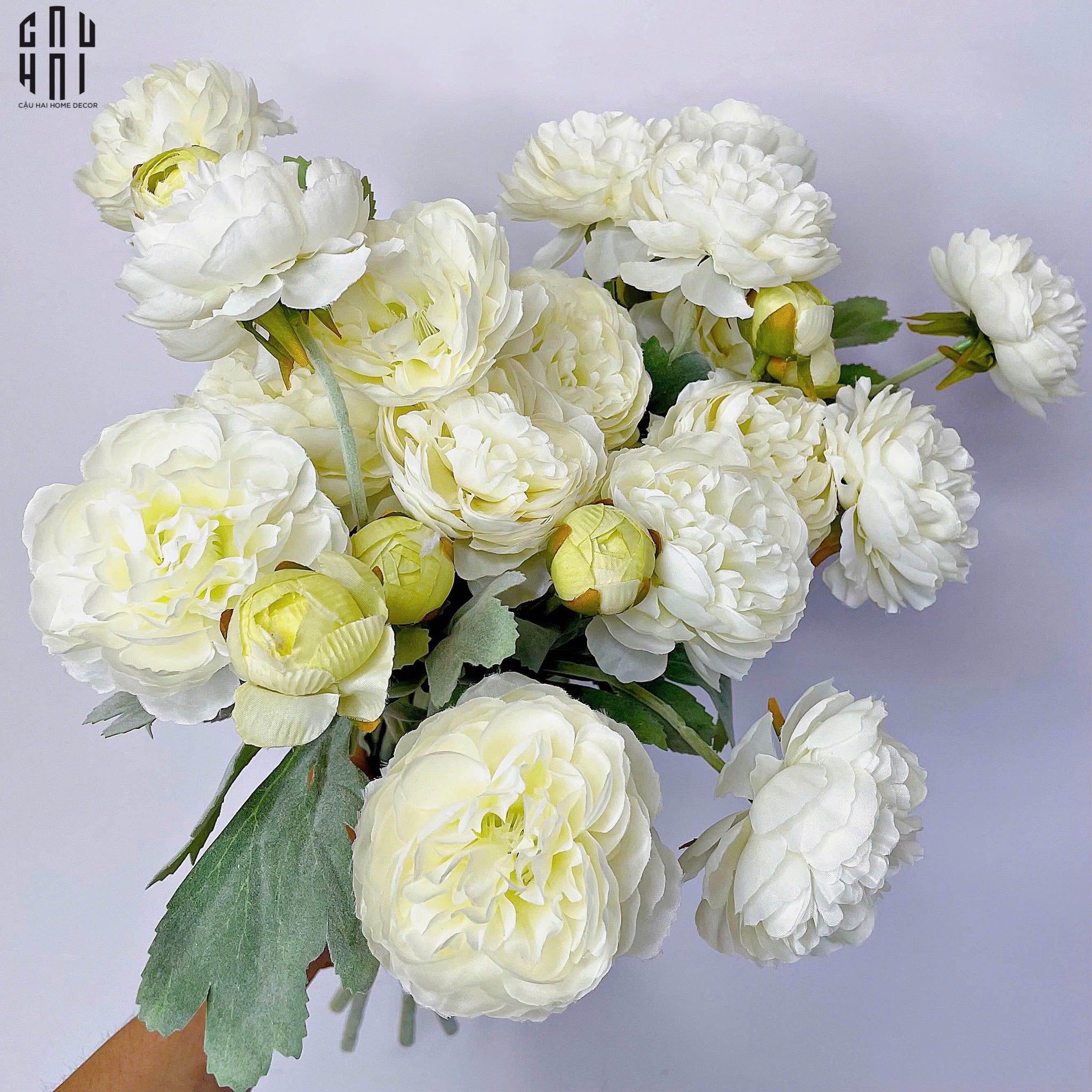 SET 2 CÀNH MAO LƯƠNG RANUNCULUS - TRẮNG