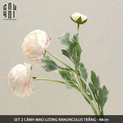 set-2-canh-mao-luong-ranunculus-trang-cau-hai-home-decor-6 - CẬU HAI HOME DECOR