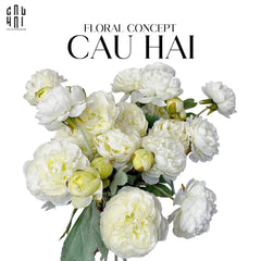set-2-canh-mao-luong-ranunculus-trang-cau-hai-home-decor - CẬU HAI HOME DECOR