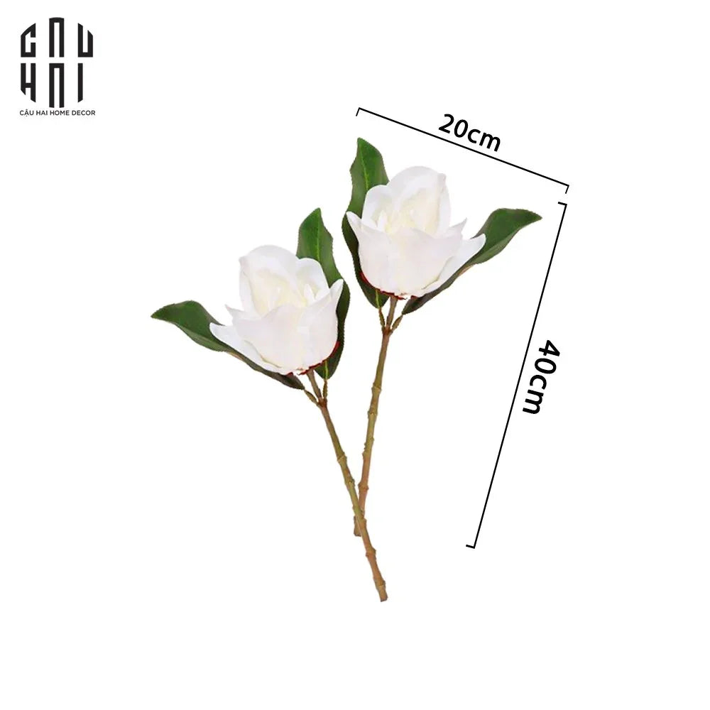 set-2-hoa-moc-lan-trang-magnolia-grandiflora-cau-hai-home-decor-2 - CẬU HAI HOME DECOR