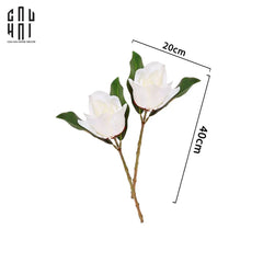 set-2-hoa-moc-lan-trang-magnolia-grandiflora-cau-hai-home-decor-2 - CẬU HAI HOME DECOR