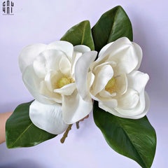 set-2-hoa-moc-lan-trang-magnolia-grandiflora-cau-hai-home-decor-3 - CẬU HAI HOME DECOR