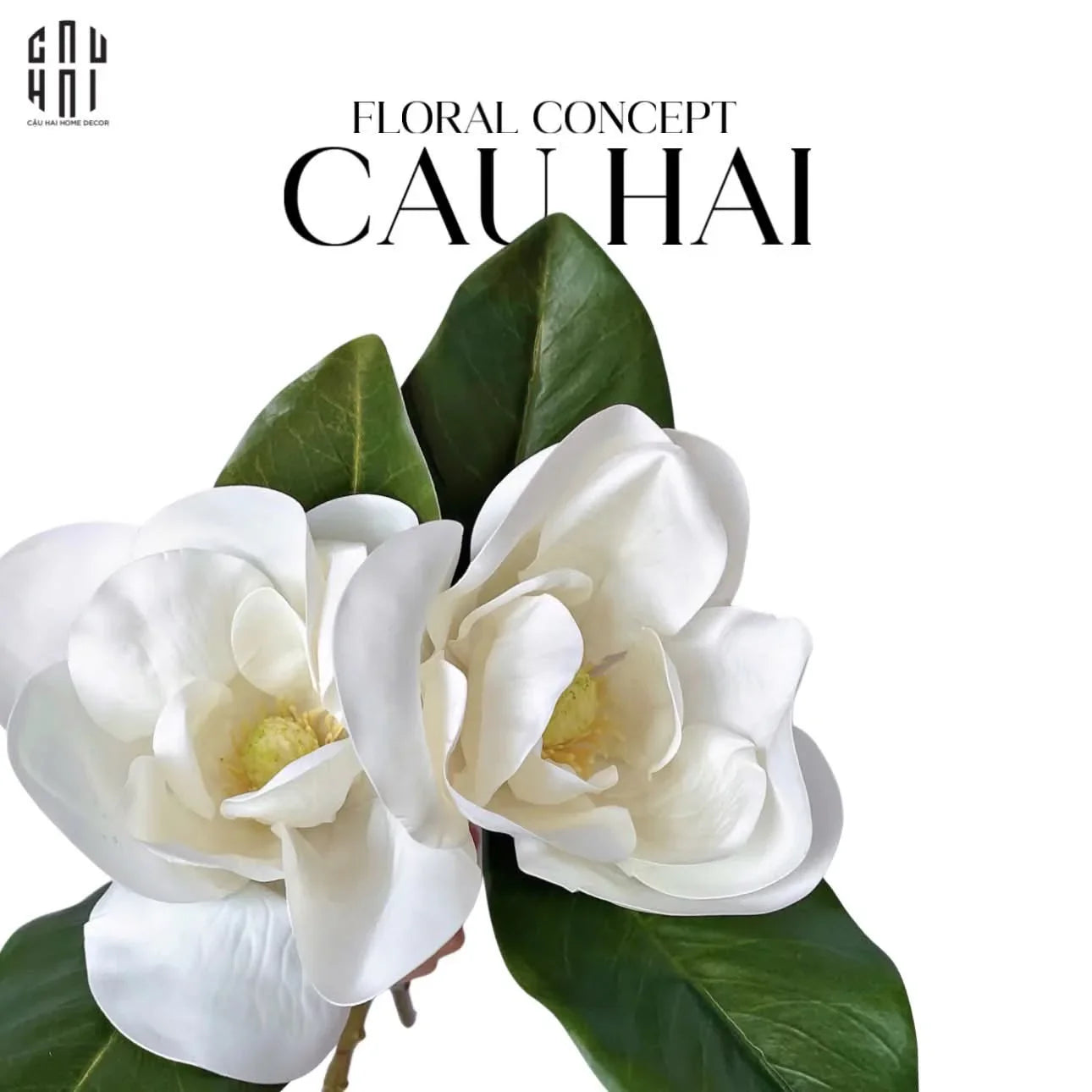 set-2-hoa-moc-lan-trang-magnolia-grandiflora-cau-hai-home-decor - CẬU HAI HOME DECOR