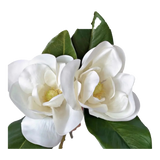 Set 2 Hoa Mộc Lan Trắng - Magnolia Grandiflora