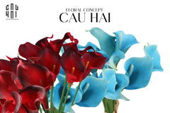 set-5-canh-calla-lily-flame-sky-blue-cau-hai-home-decor - CẬU HAI HOME DECOR