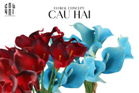 Set 5 Cành Calla Lily Flame / Sky Blue-CẬU HAI HOME DECOR