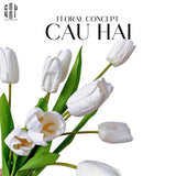 SET 5 CÀNH HOA TULIP TRẮNG 46CM