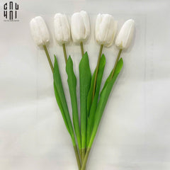 set-5-canh-hoa-tulip-trang-46cm-cau-hai-home-decor-3 - CẬU HAI HOME DECOR
