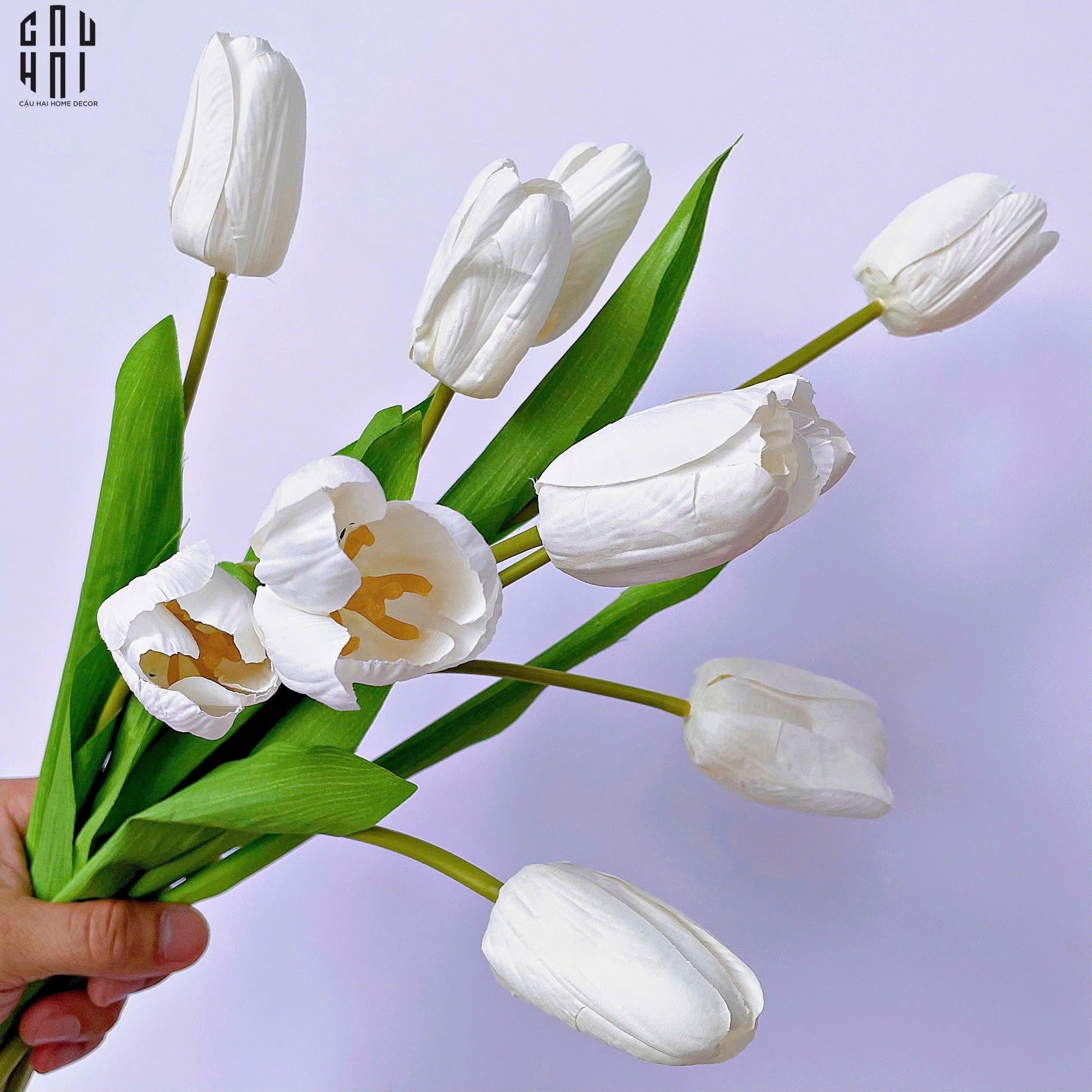 SET 5 CÀNH HOA TULIP TRẮNG 46CM