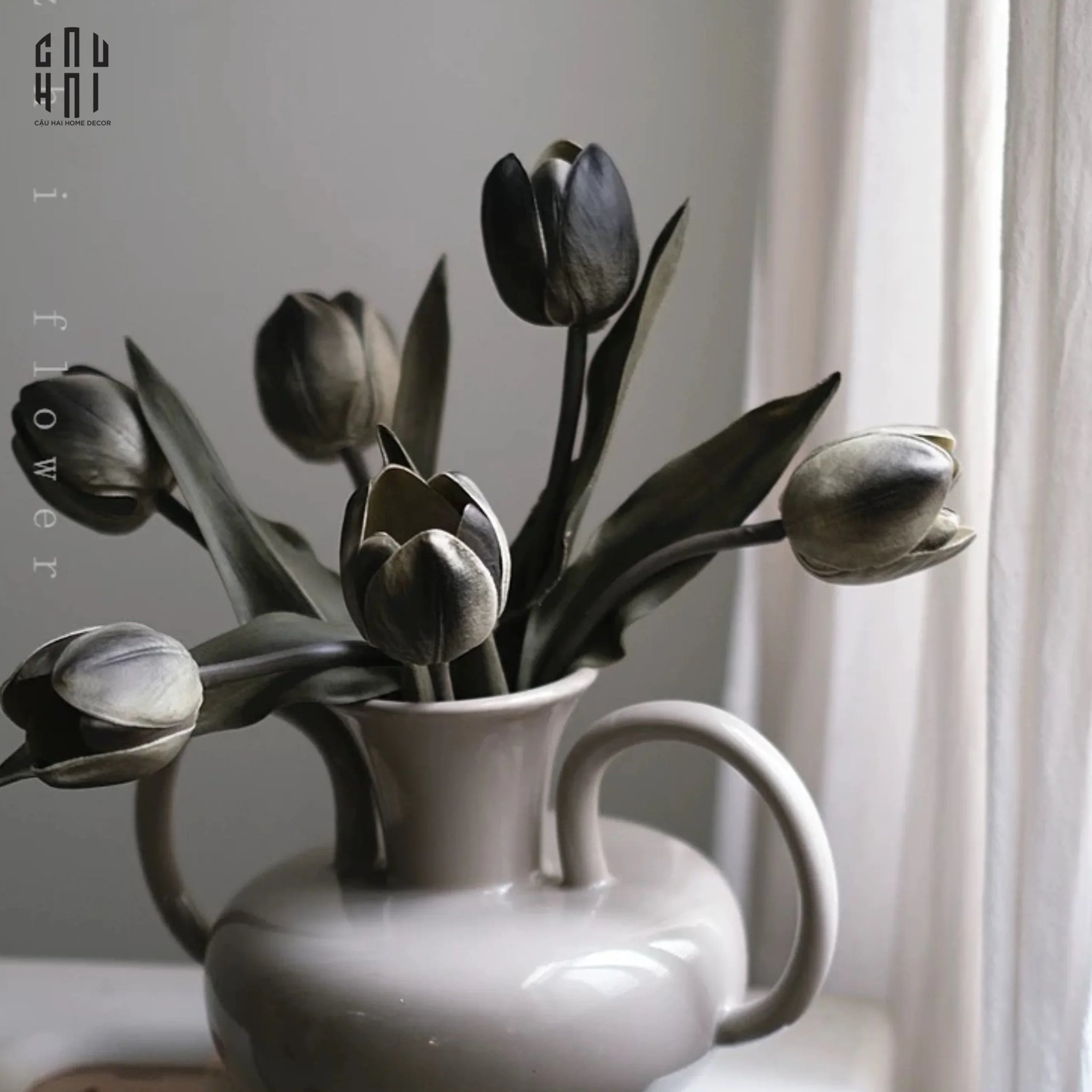 SET 5 CÀNH TULIP LUX - BLACK