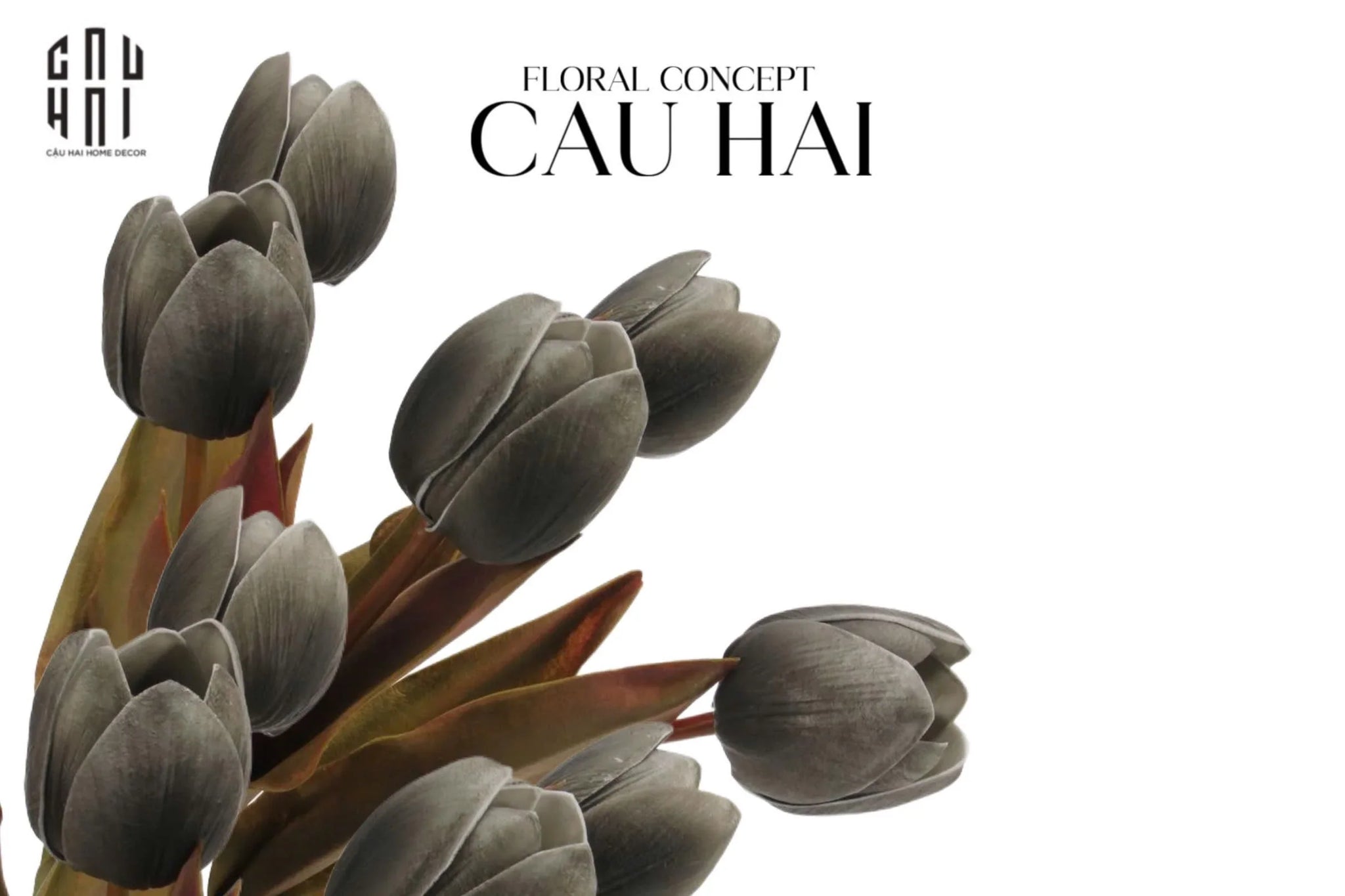Set 5 Cành Tulip Lux - Black - CẬU HAI HOME DECOR