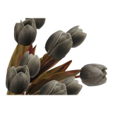 Set 5 Cành Tulip Lux - Black
